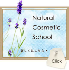 natural cosmetic school